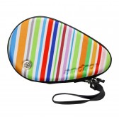 Hardcase Multicolor Stripes